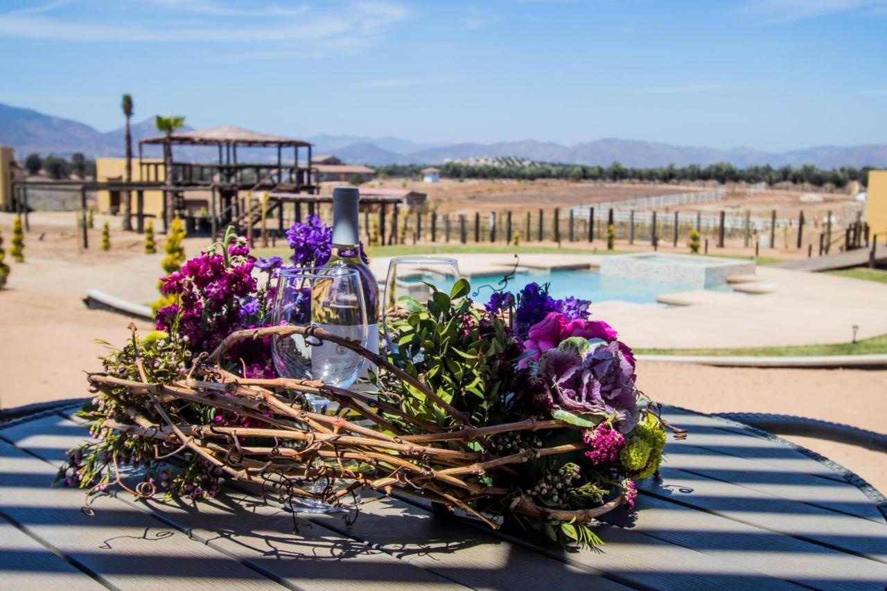 Cuatro Lunas Hotel Boutique Valle de Guadalupe Esterno foto