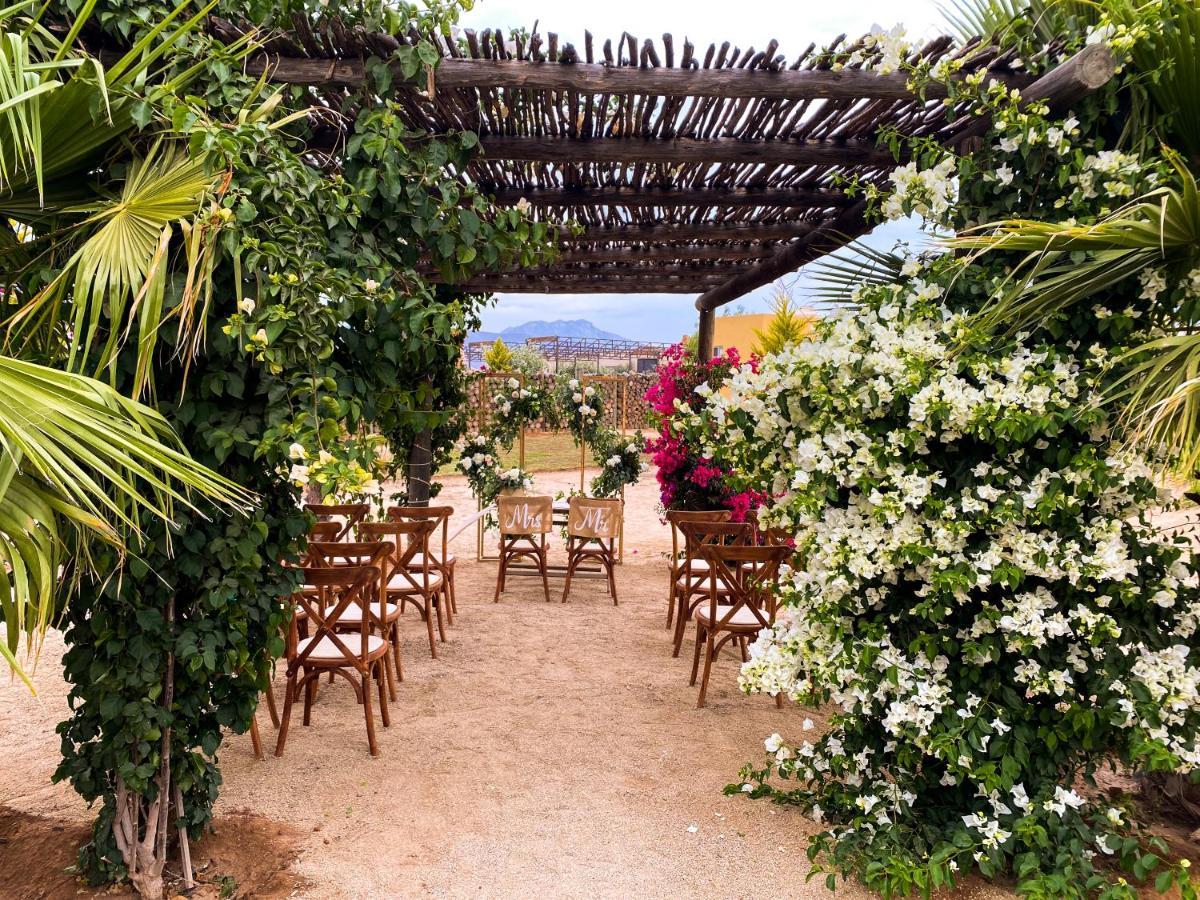 Cuatro Lunas Hotel Boutique Valle de Guadalupe Esterno foto