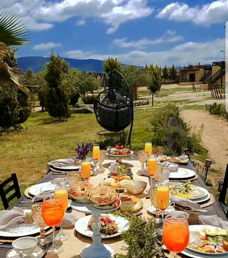 Cuatro Lunas Hotel Boutique Valle de Guadalupe Esterno foto